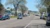 The elm trees lining the Highway 61 corridor passing through Grand Marais are slated for removal. Photo by Rhonda Silence